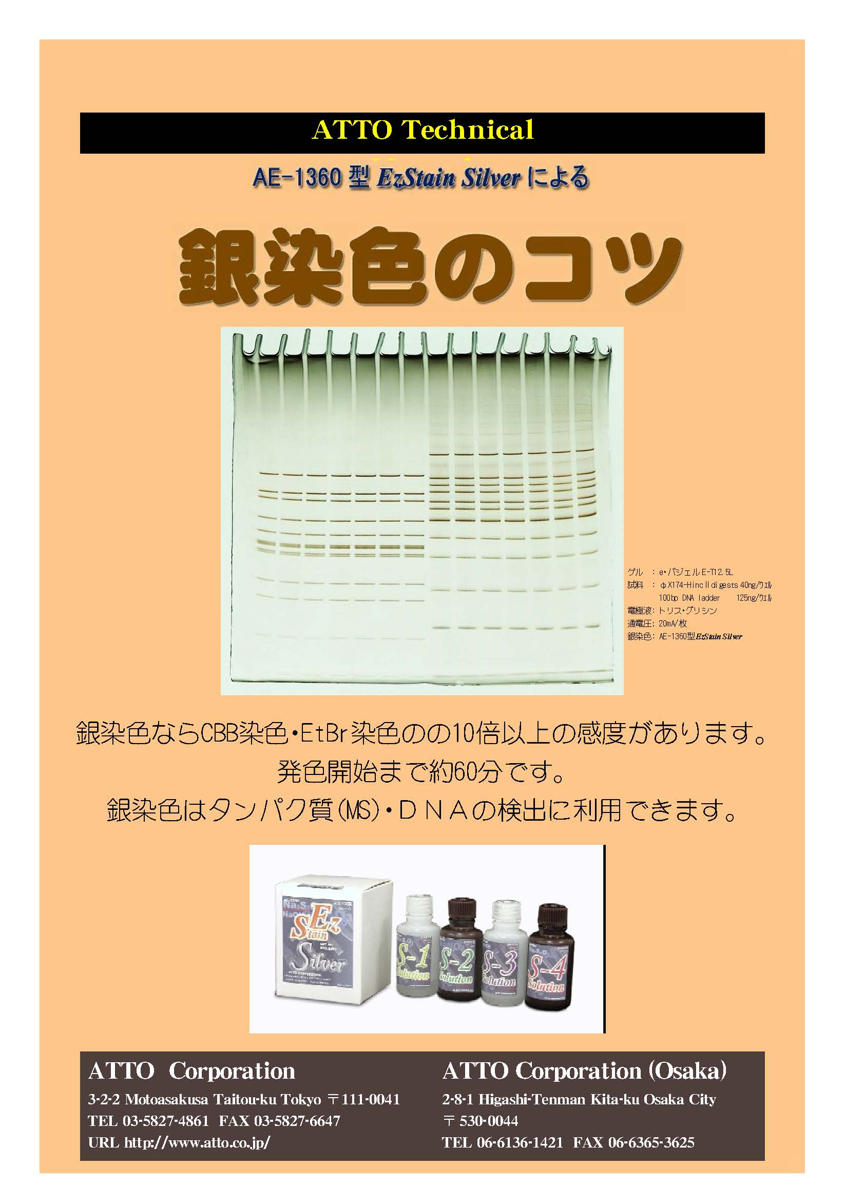 銀染色のコツ 2013_ページ_1.jpg