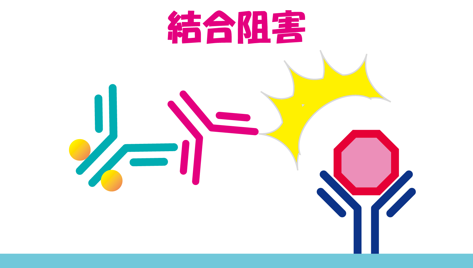 12.png