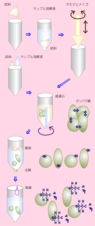 2D kit protocol.png