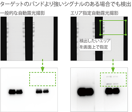 便利な撮影機能③_425px.png