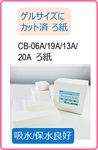 W4 のコピー.png