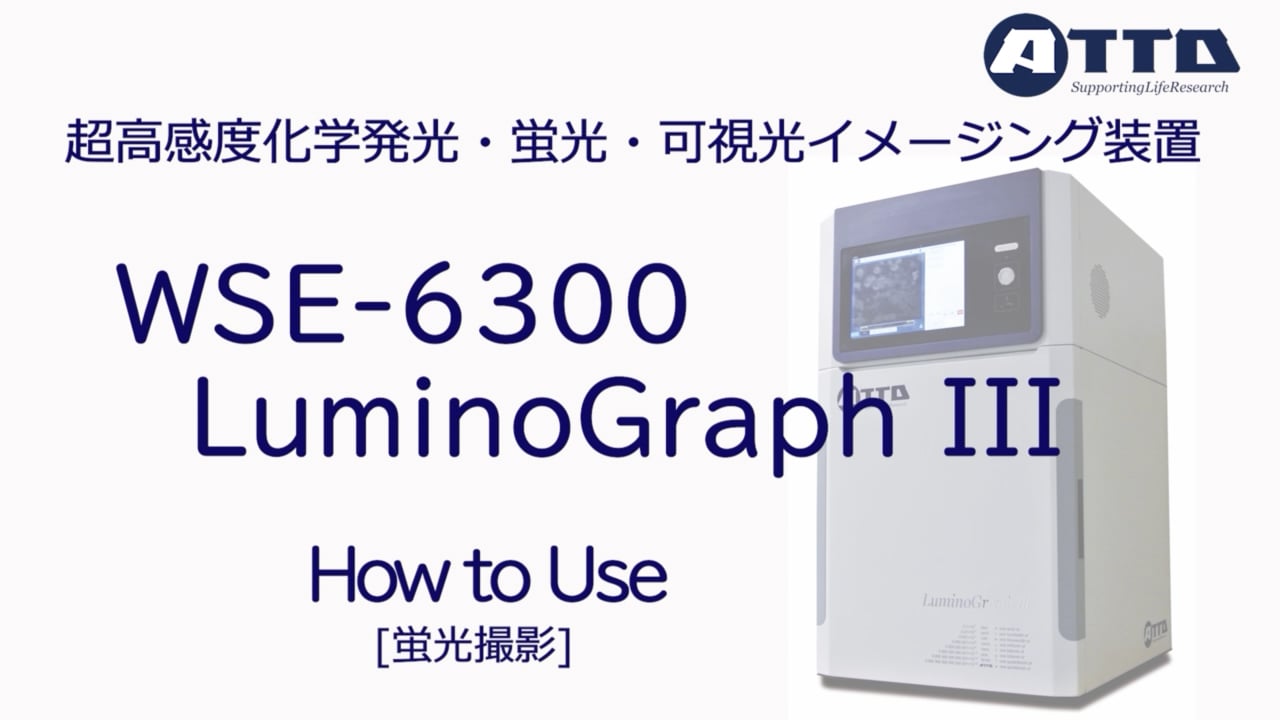 WSE6300サムネイル.png