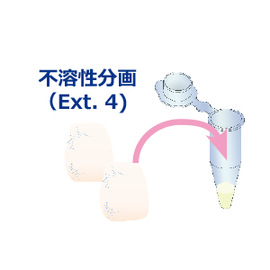 不溶性分画抽出.png
