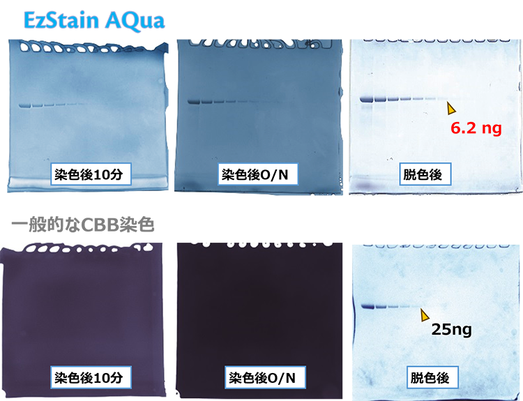 試薬② のコピー.png