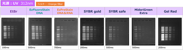 Printgraph-Classic-DNA-UV_750.png