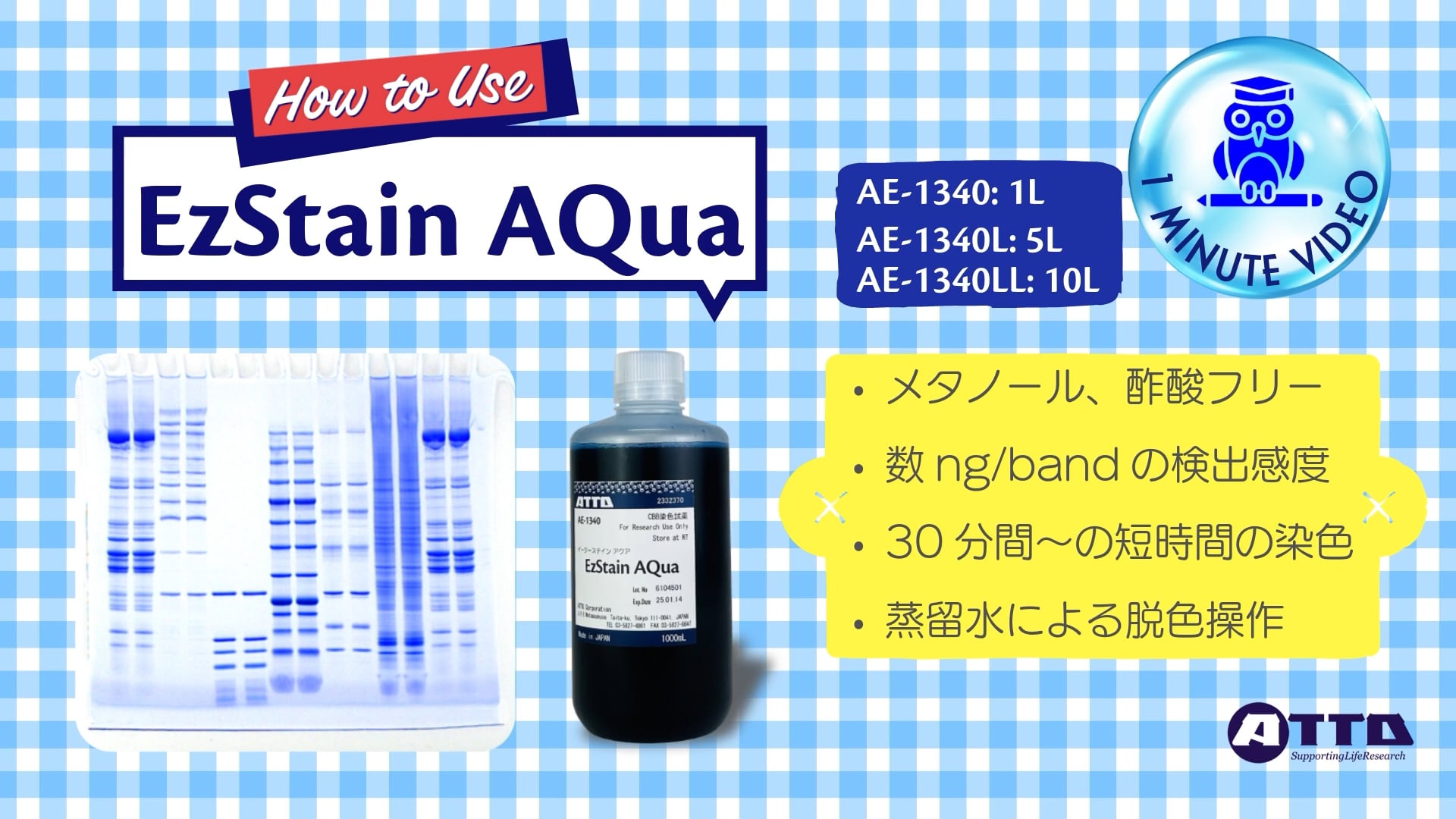 AE-1340 EzStain AQua | ゲル染色試薬 | 電気泳動試薬 | 電気