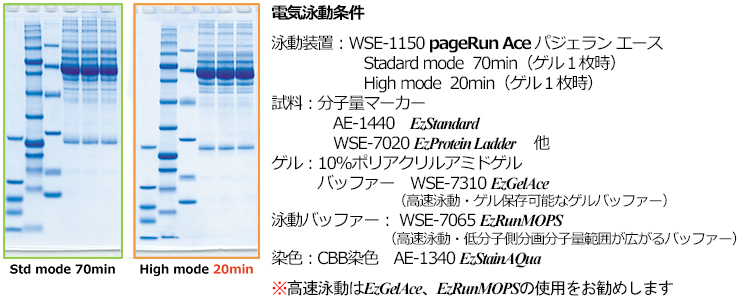 WSE-1150 泳動パターン比較.jpg