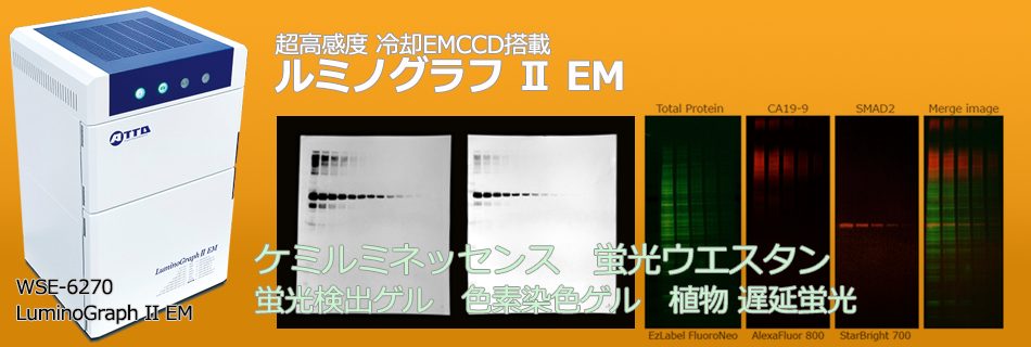WSE-6270_slider_950x320pix-2W.png