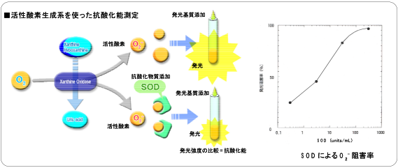 発光検出_3.png