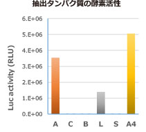 抽出効率2.jpg