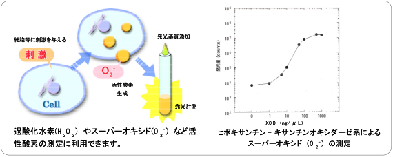 発光検出_2.png