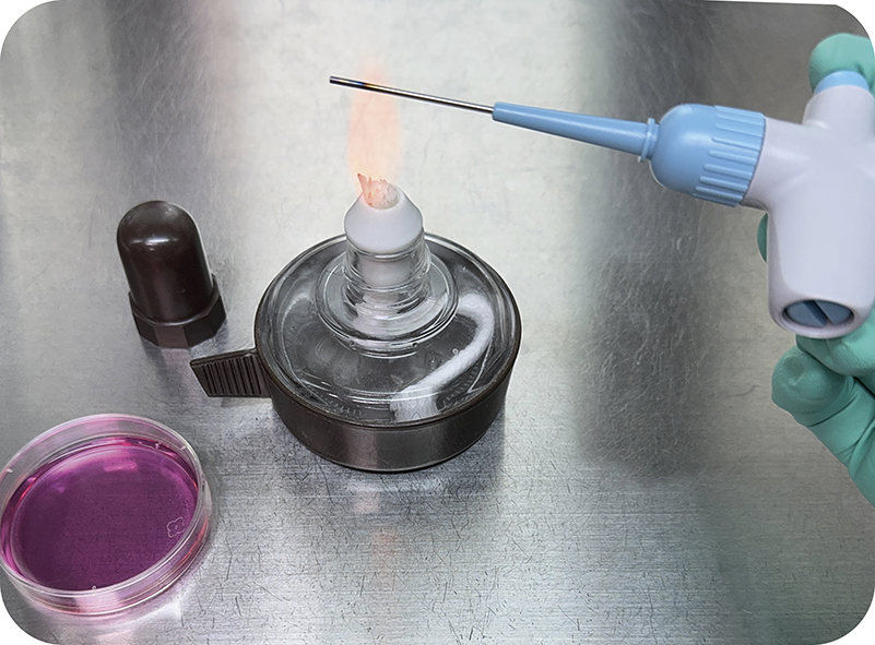 火炎滅菌 枠なし s.png