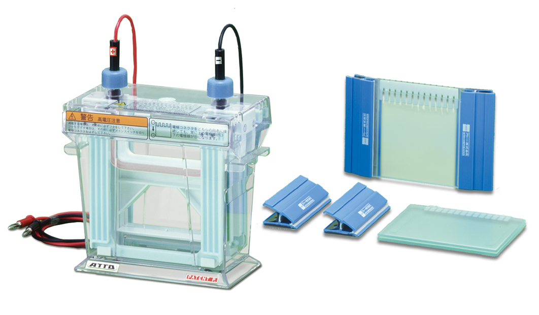 AE-6530MW web.jpg