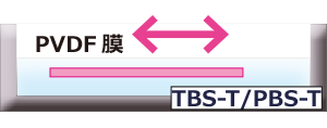 洗浄.png
