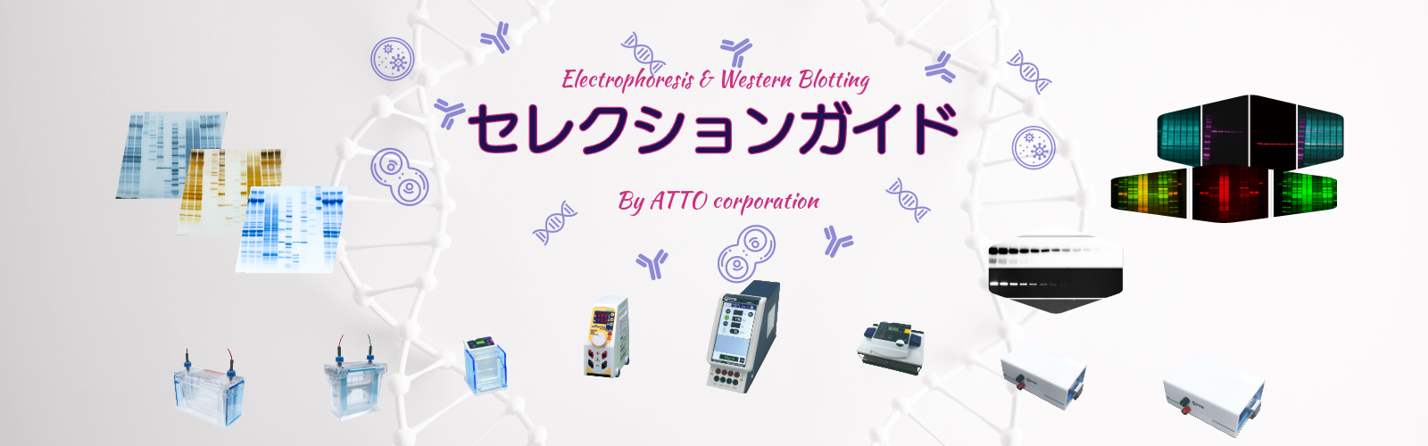 セレクションガイド (1).png