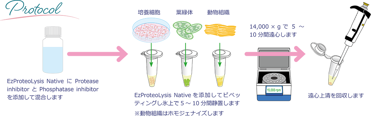 製品ページ用素材_670