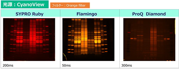 Printgraph-Classic-Protein-Color_CV_600.png