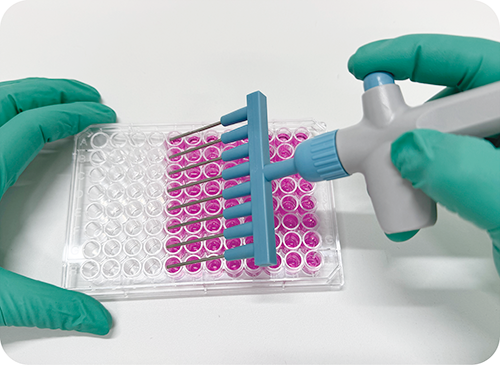 8連くし ELISA のコピー.png