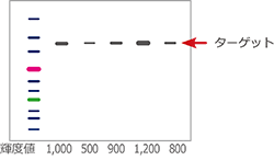 TP1p-2.png