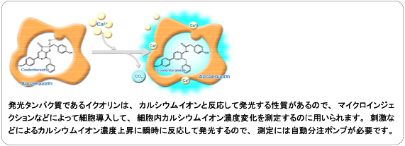 発光検出_6.png