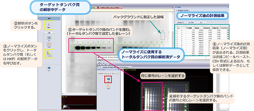 TP5p-10.png