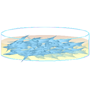 洗浄.png