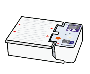 電気泳動.png