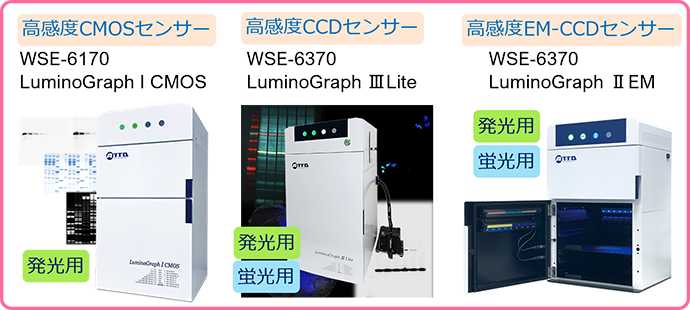 W9 のコピー.png