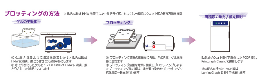 WSE-7056 EzRunClearNative_ブロッティング方法.jpg