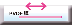 膜の平衡化.png