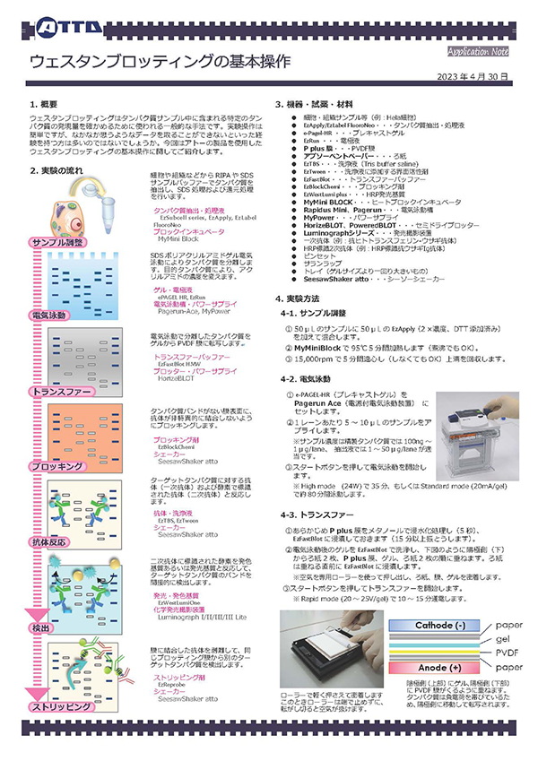 Application Note WB basic_ver2_ページ_1.jpg