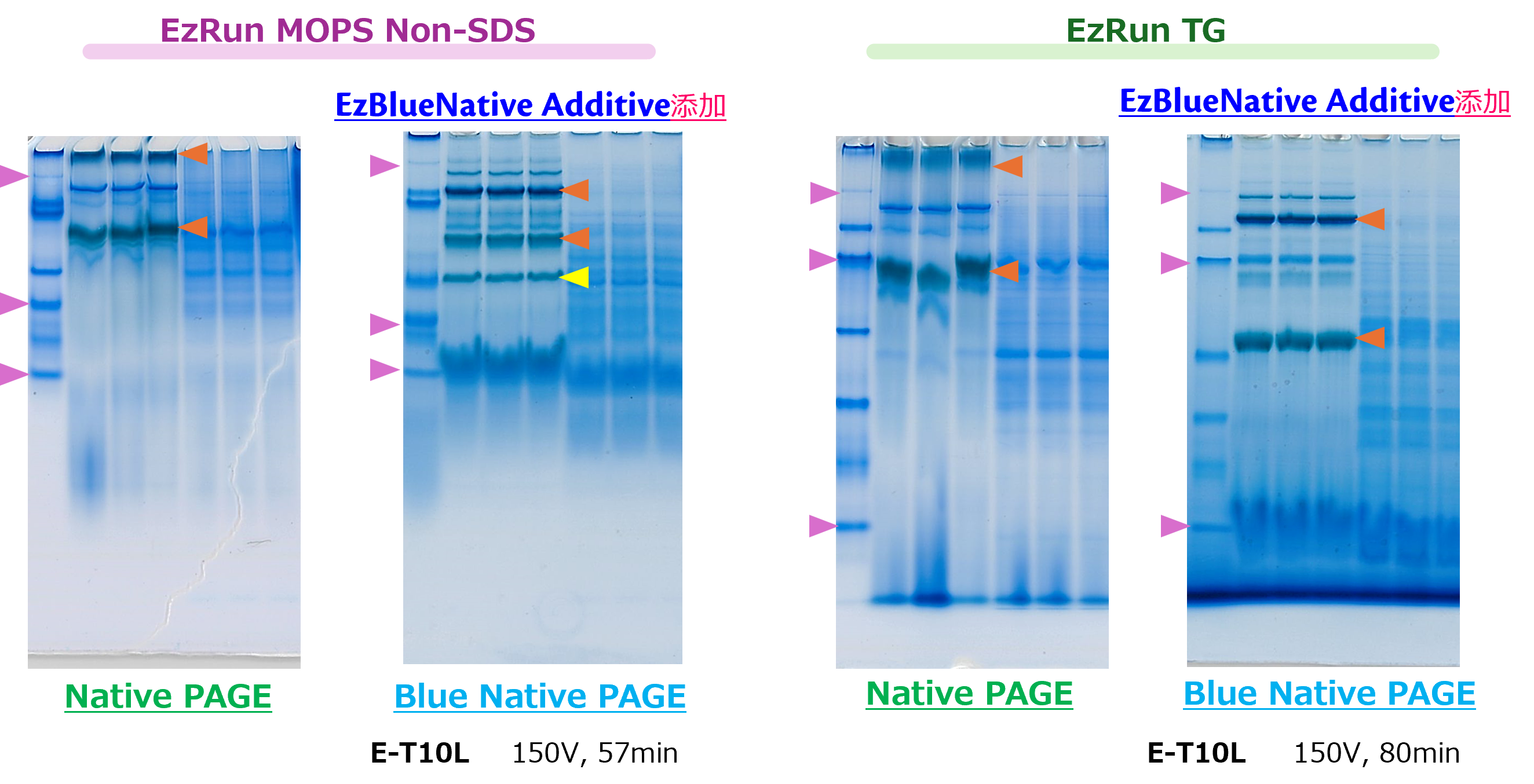 WSE-7067　画像1.png
