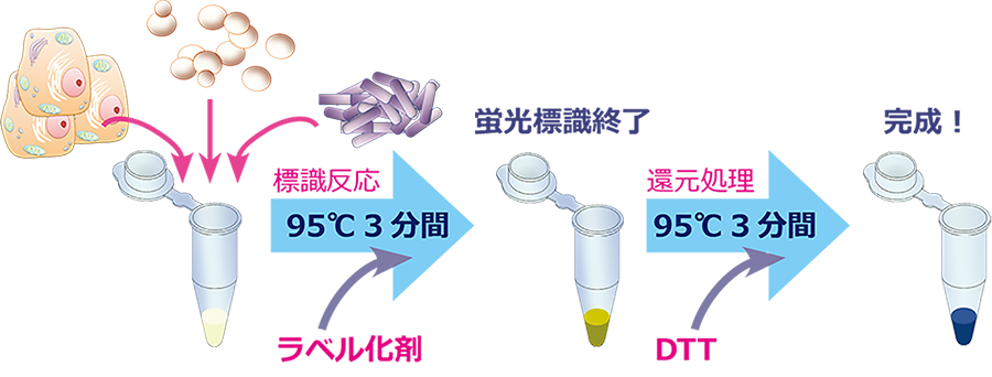 TP3p-1.png