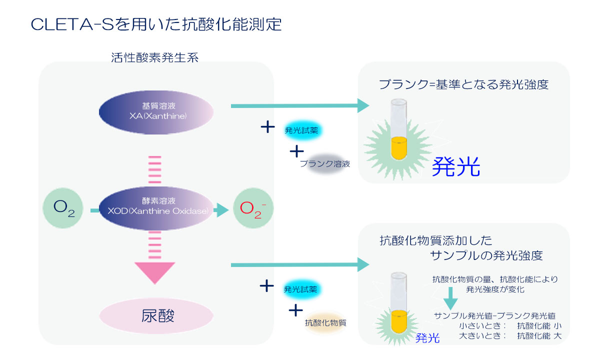 抗酸化能の原理.jpg