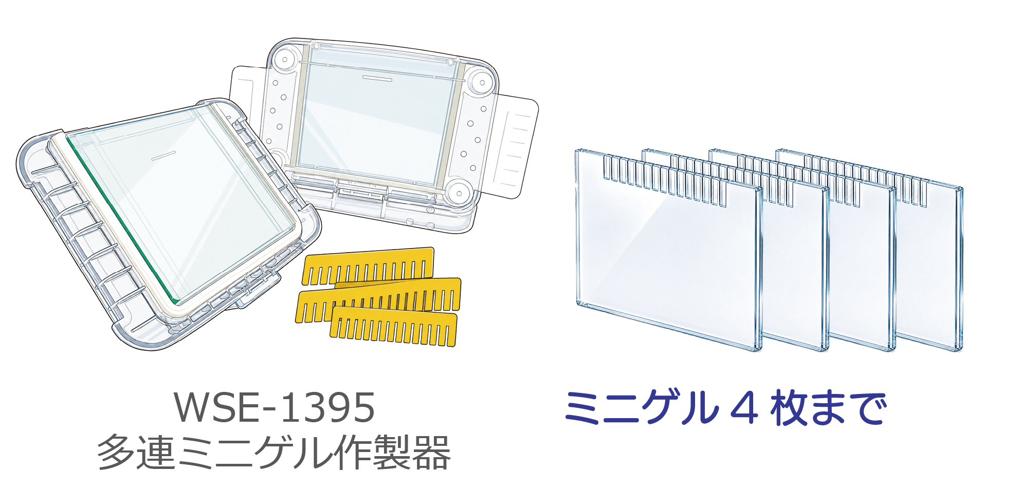 WSE-1395-2.png