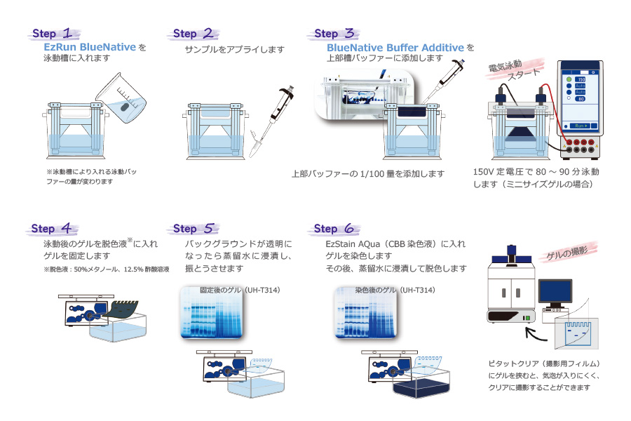 WSE-7057 EzRunBlueNative_プロトコール.jpg