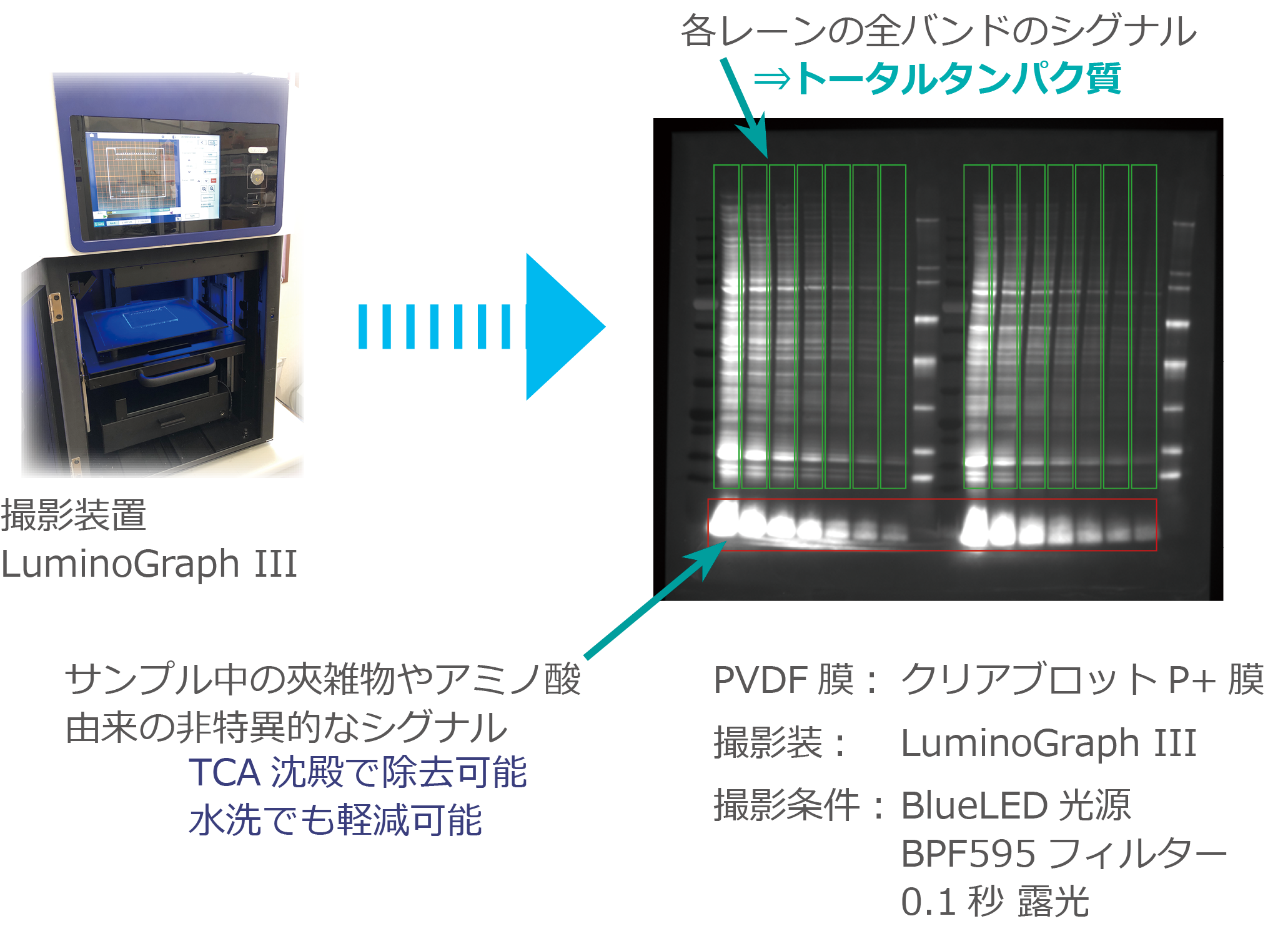 TP3p-5.png