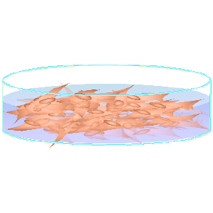 細胞の溶解.png