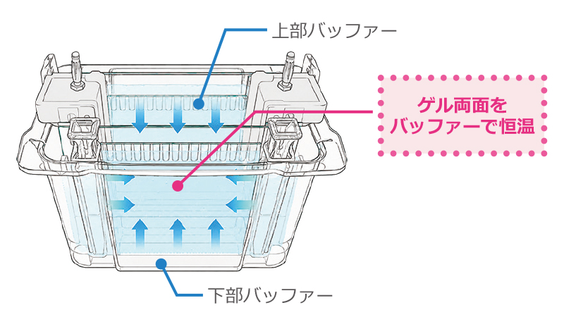 ゲルの完全両面恒温 のコピー.jpg
