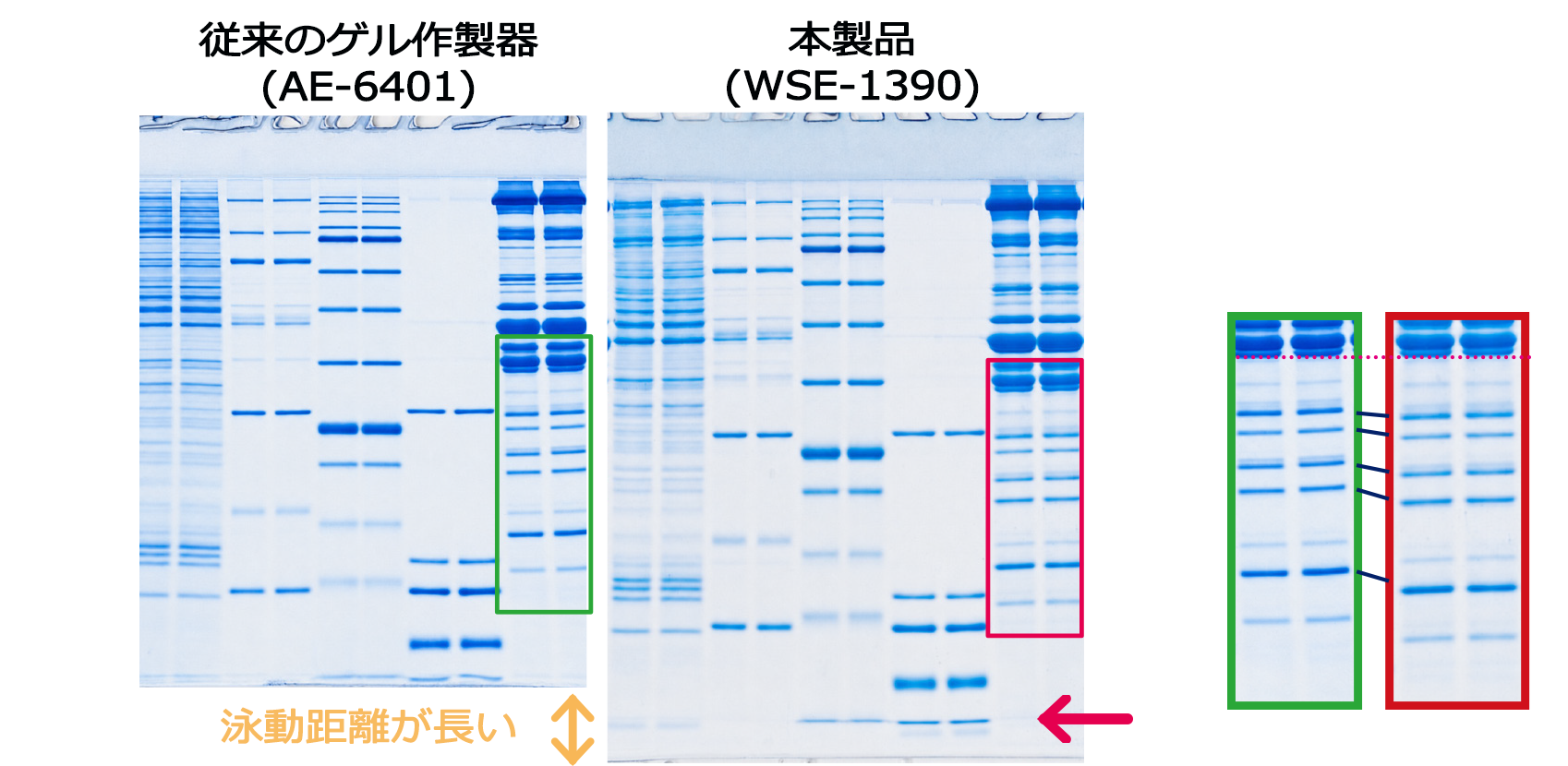 WSE-1390_近接バンドの識別.png