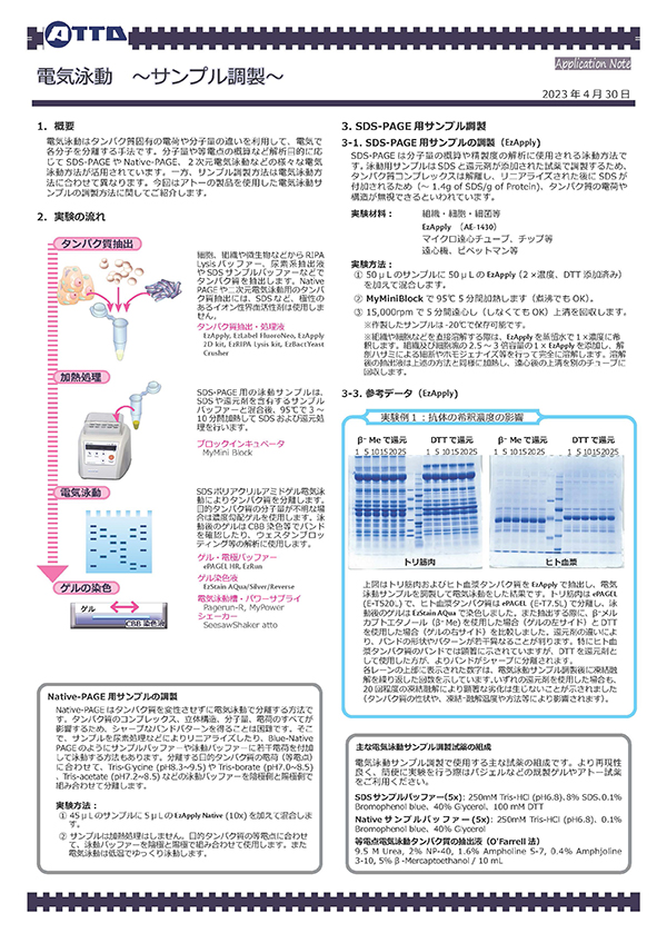 Application Note EP sample preparation_ver2_ページ_1.jpg
