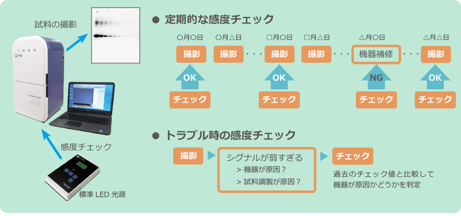 バリデーション_1.png