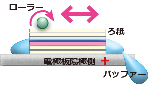 ろ紙2.png