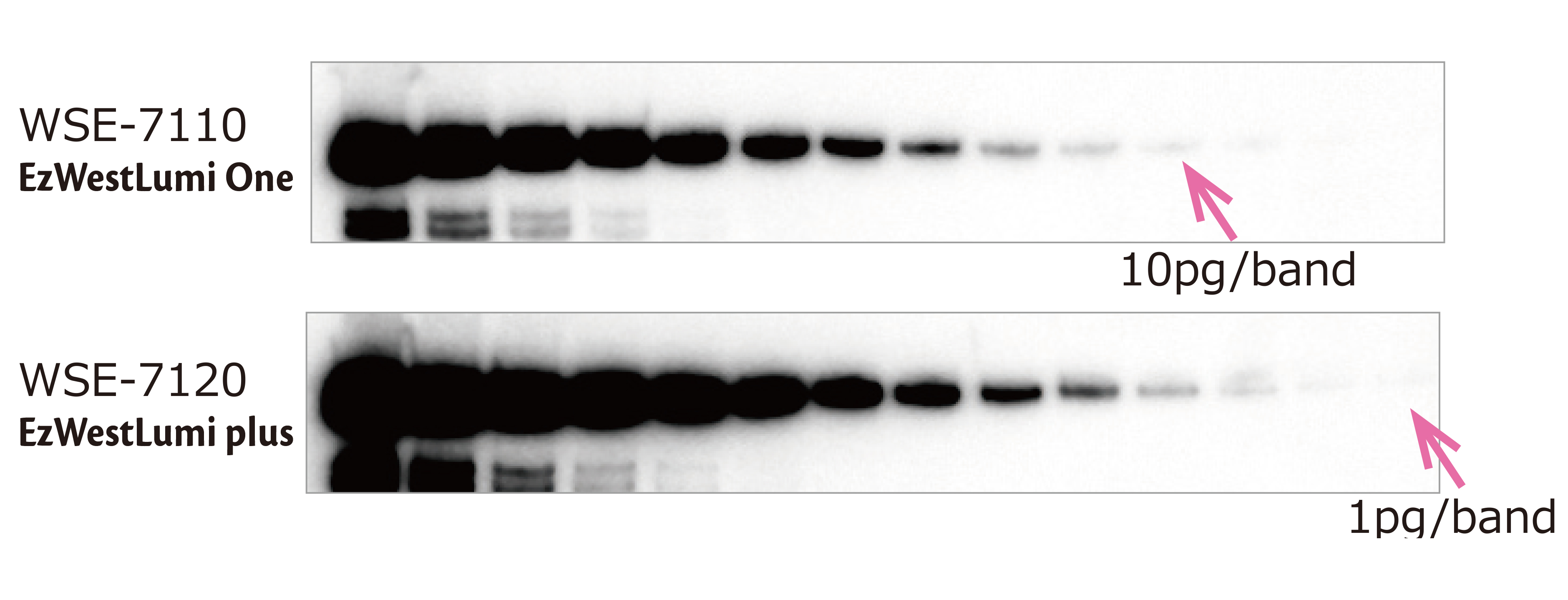 fig1(240131).jpg