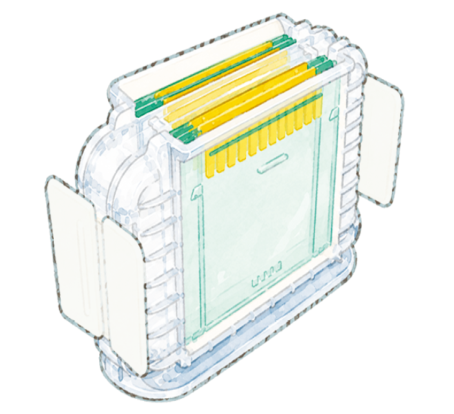 WSE-1395-3.png