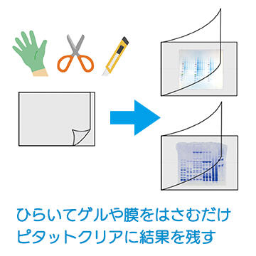 切って開いてはさむだけ。 ピタッとはさんでクリアに撮影できます。