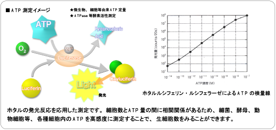 発光検出_4.png
