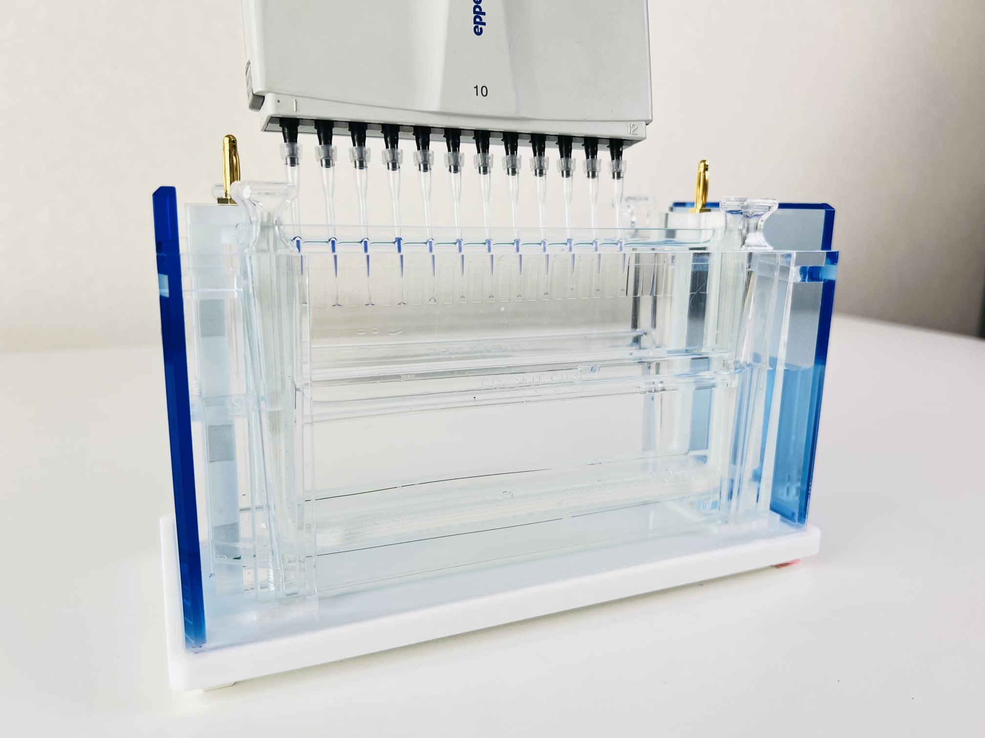WSE-1170 マルチレーンゲル電気泳動槽 | ワイドサイズ | 電気