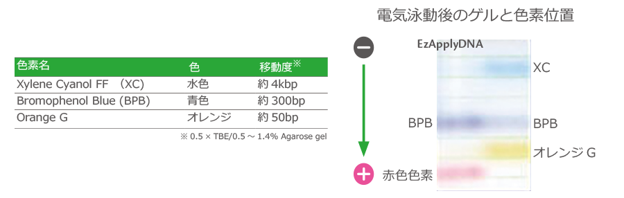 豆知識1.png