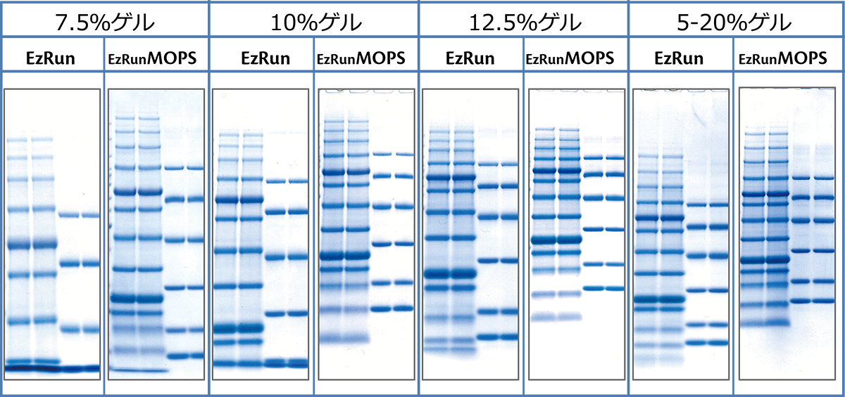 WSE-7065 data1.png